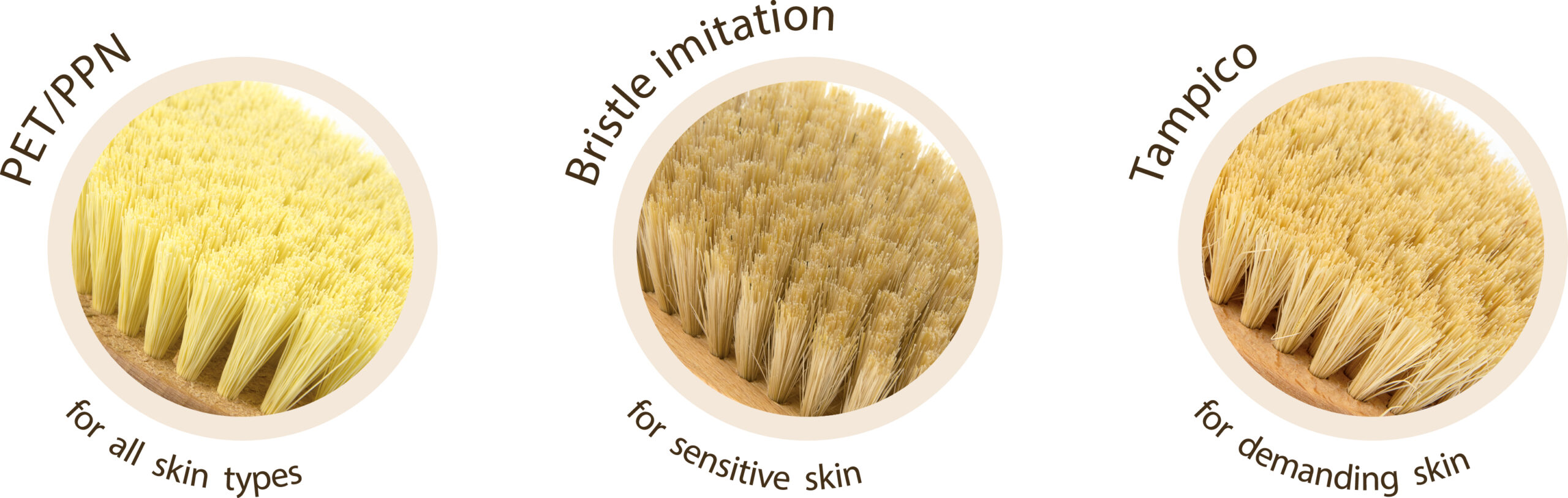 bodycare-bristles